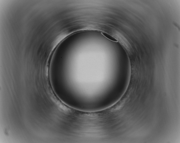 X0000097810900200803141116