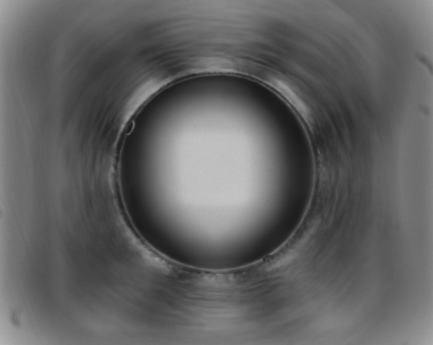 X0000097810901200803141116