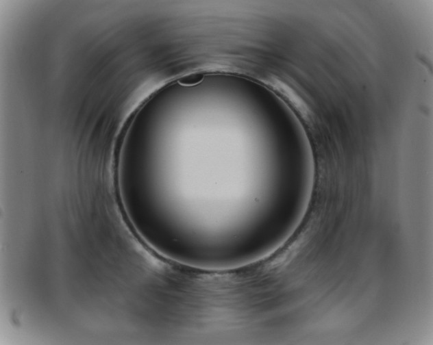 X0000097810902200803141116