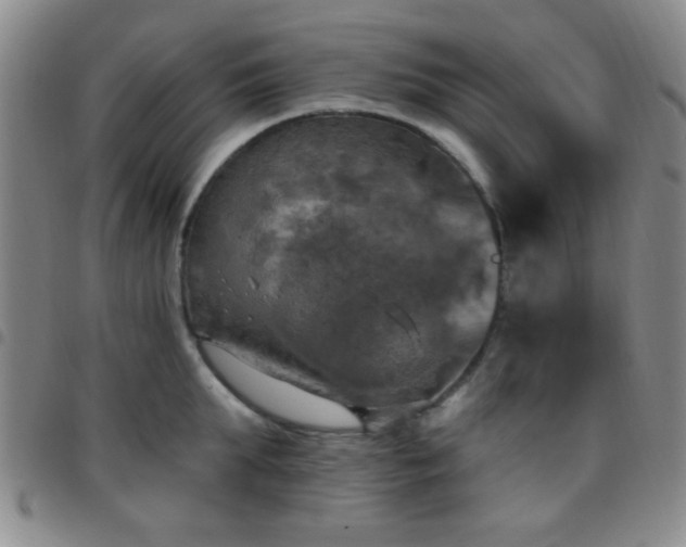 X0000097810903200803141116