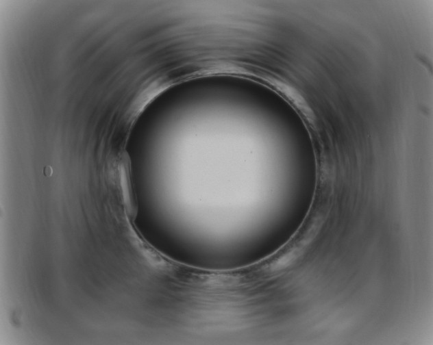 X0000097810905200803141116