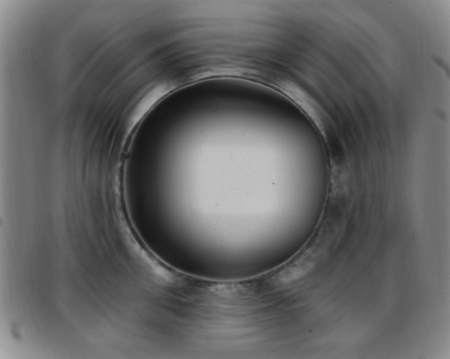 X0000097810906200803141116
