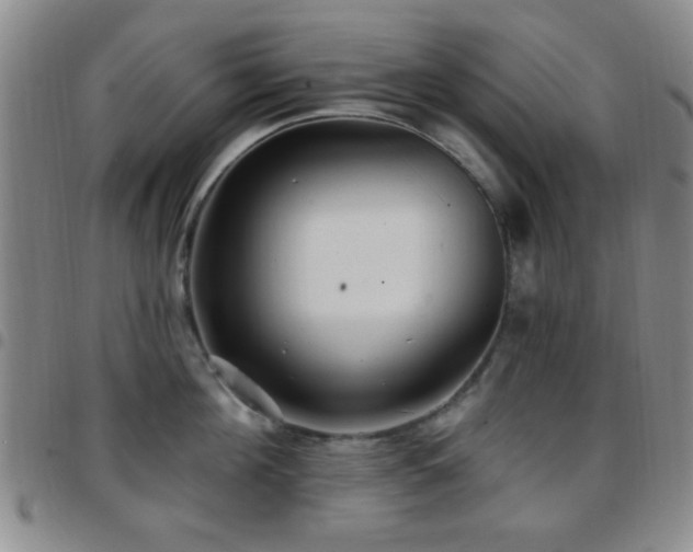 X0000097810908200803141116