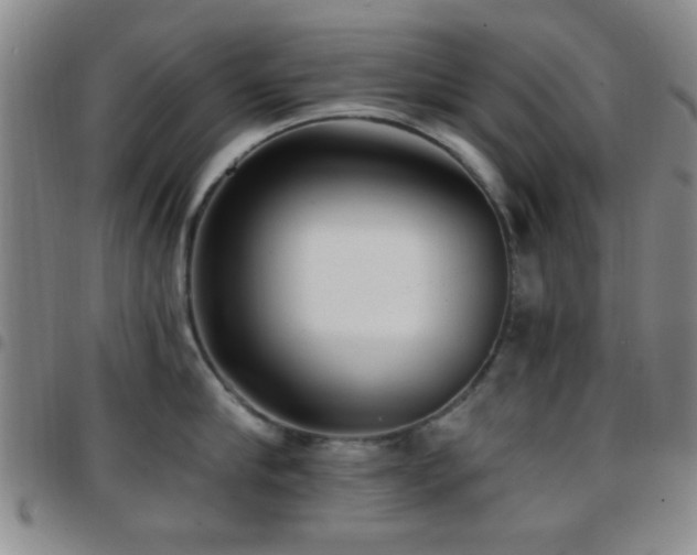 X0000097810910200803141116