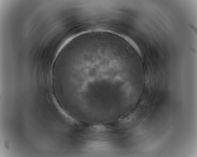 X0000097810911200803141116