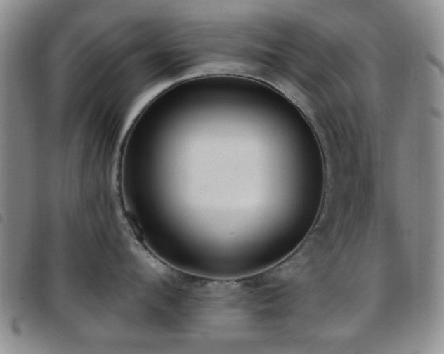 X0000097810912200803141116