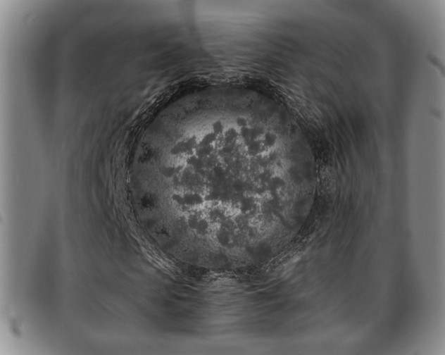 X0000097810913200803141115