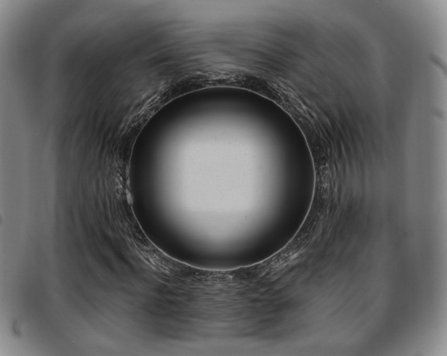 X0000097810916200803141115