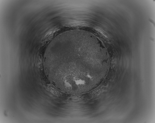 X0000097810917200803141115