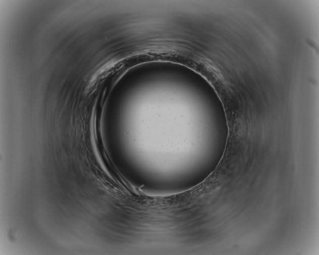 X0000097810920200803141115