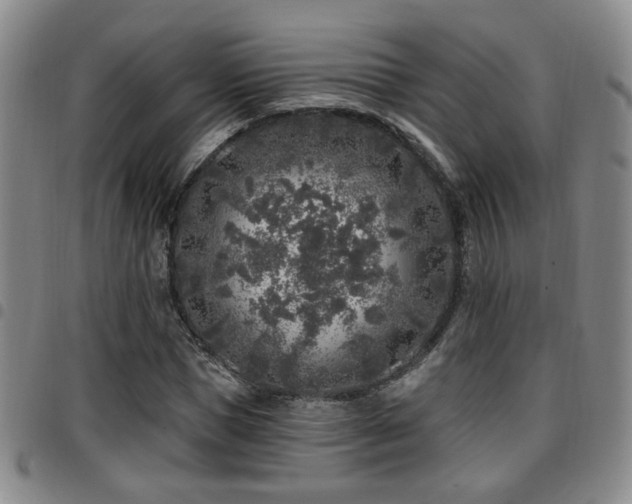 X0000097810921200803141115
