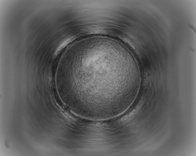 X0000097810922200803141115