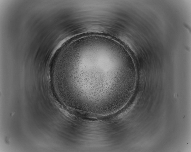 X0000097810923200803141115