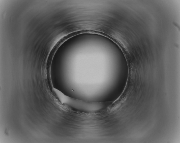X0000097810924200803141115
