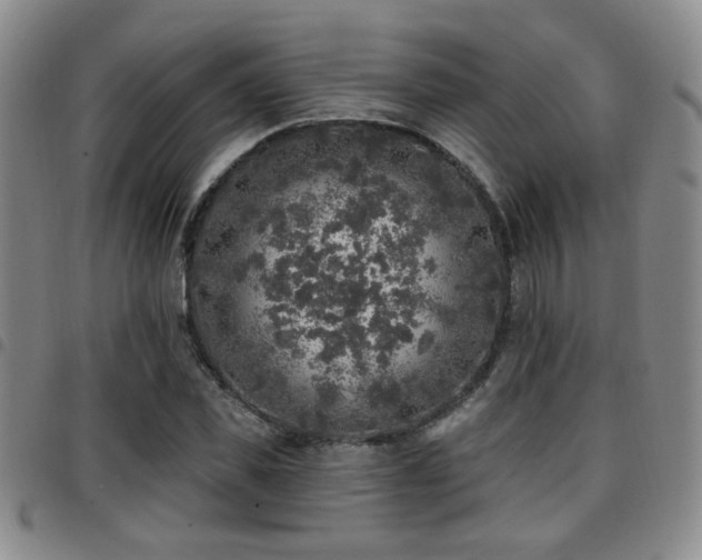 X0000097810925200803141115
