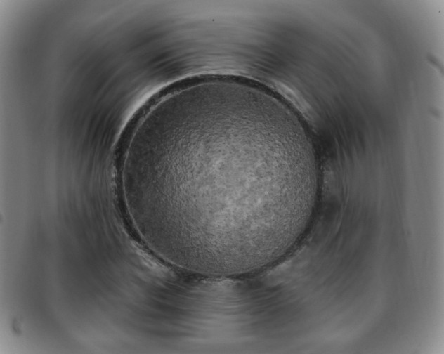 X0000097810926200803141115