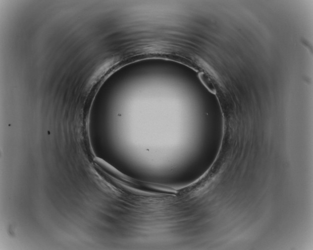 X0000097810930200803141115