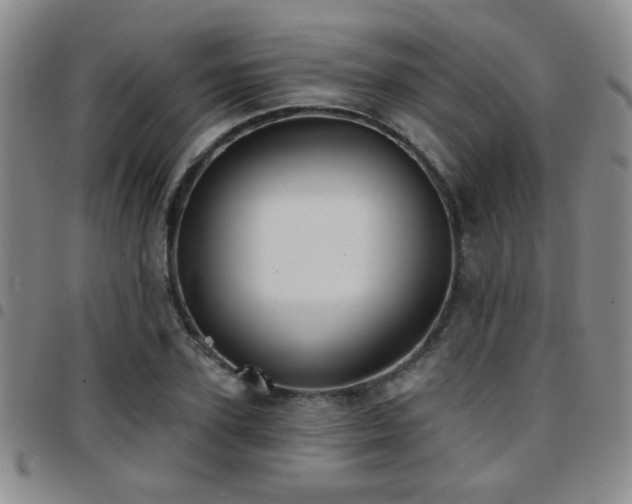 X0000097810931200803141115