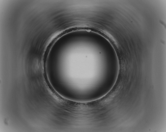 X0000097810935200803141115