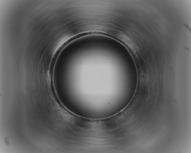 X0000097810936200803141115