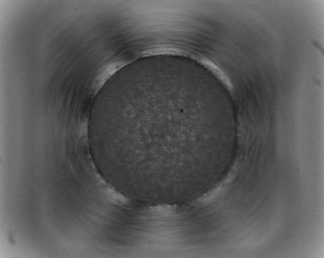 X0000097810937200803141115