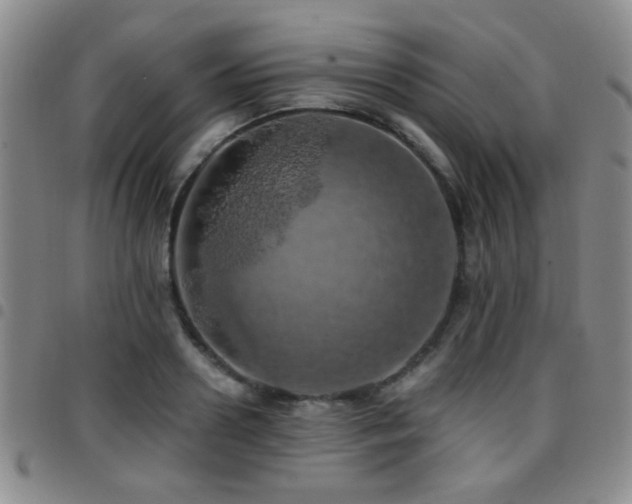 X0000097810938200803141115