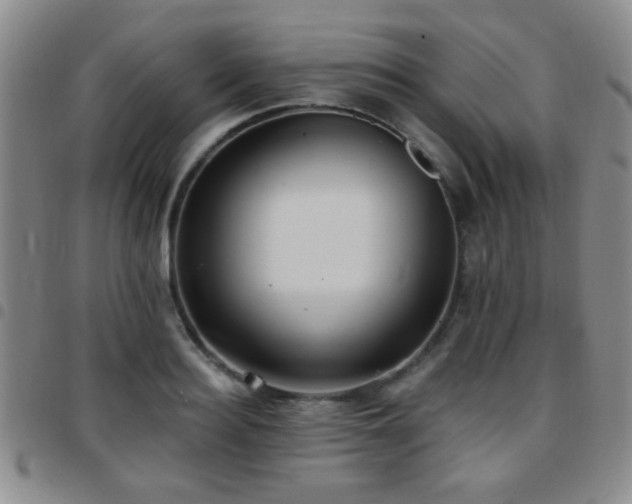 X0000097810940200803141115