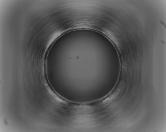 X0000097810941200803141115