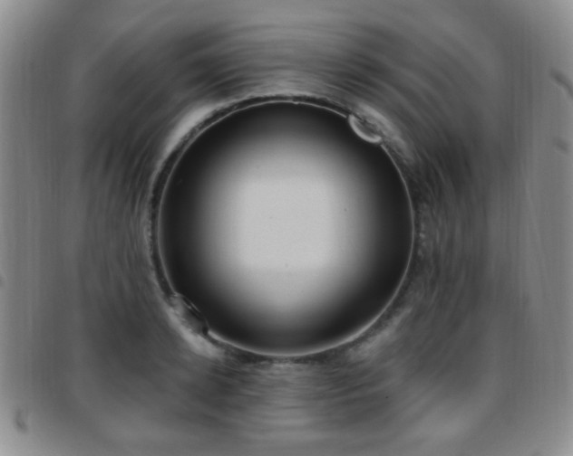 X0000097810942200803141115