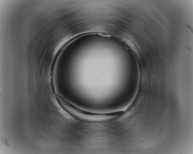 X0000097810944200803141115