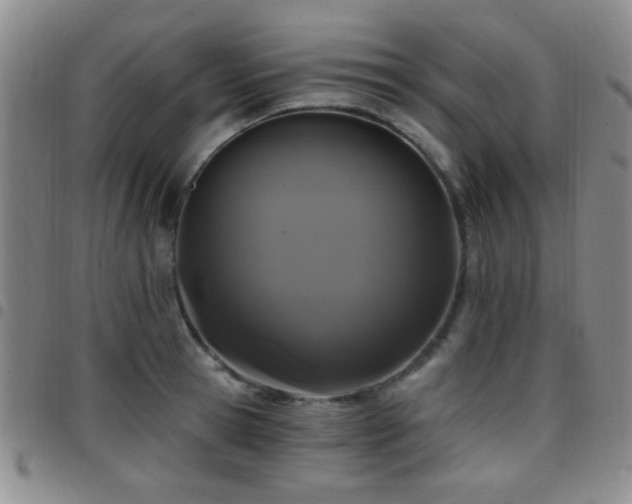 X0000097810945200803141116