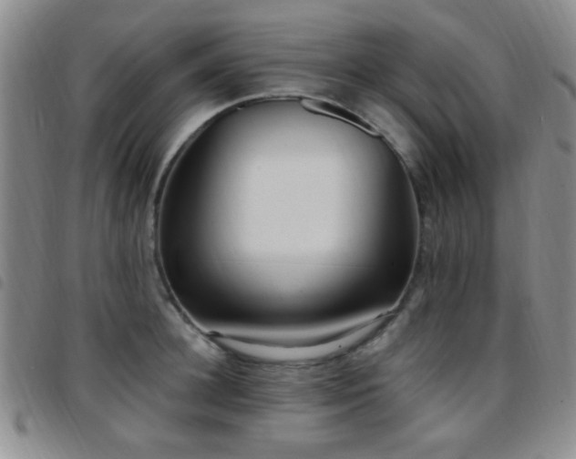 X0000097810948200803141116
