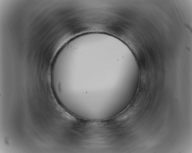 X0000097810950200803141116