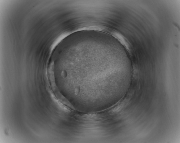 X0000097810952200803141116