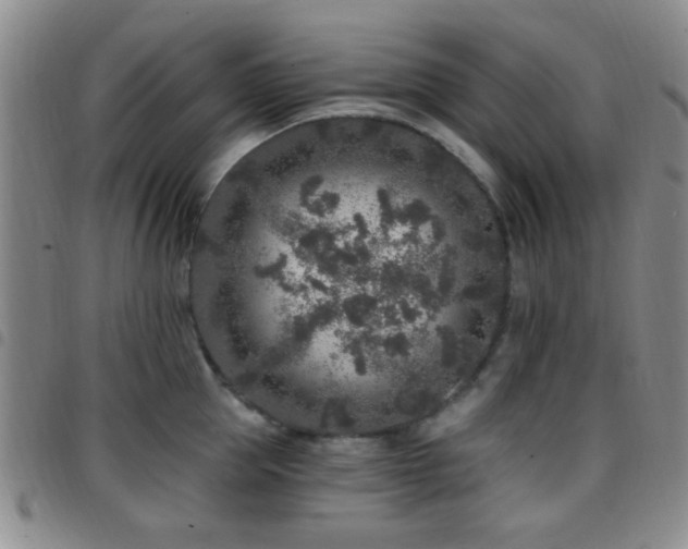 X0000097810953200803141116
