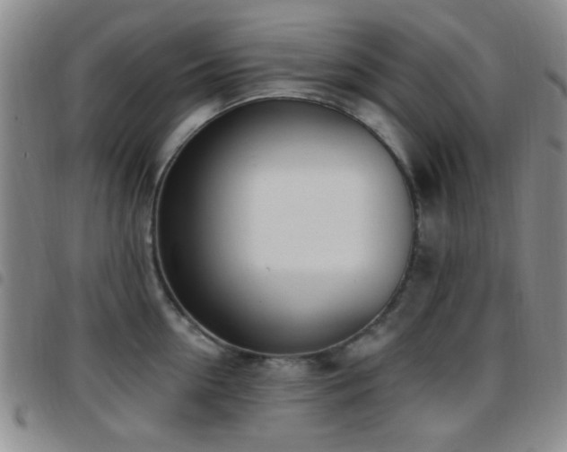 X0000097810954200803141116