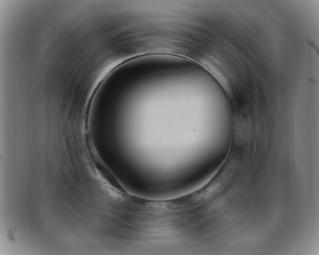 X0000097810956200803141116