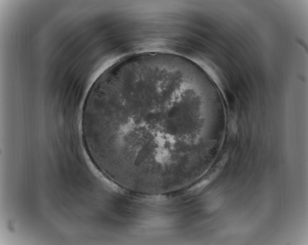 X0000097810957200803141116