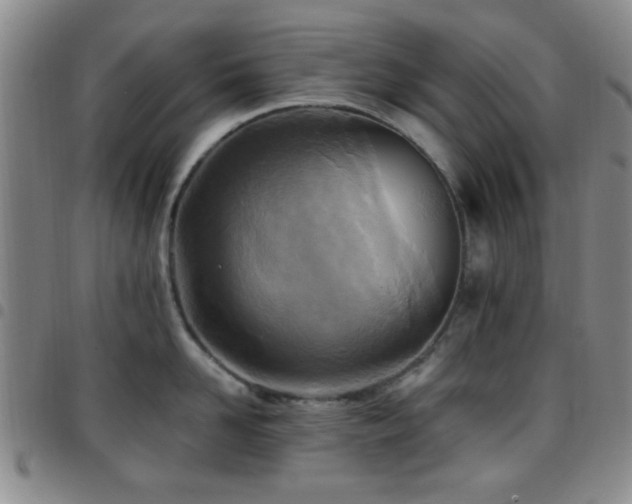X0000097810958200803141116