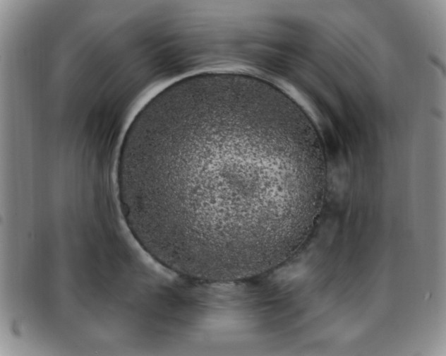 X0000097810959200803141116