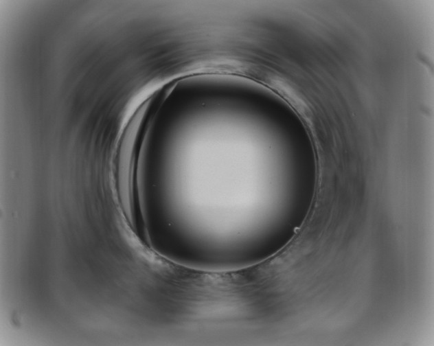 X0000097810960200803141116