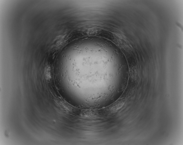 X0000097810962200803141115