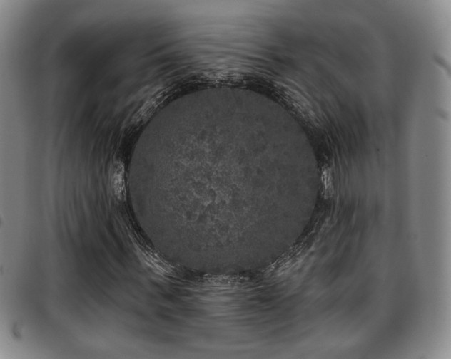 X0000097810963200803141115