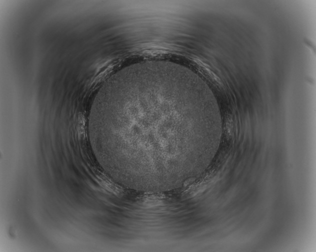 X0000097810964200803141115