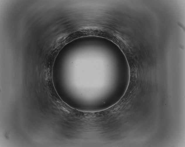 X0000097810965200803141115