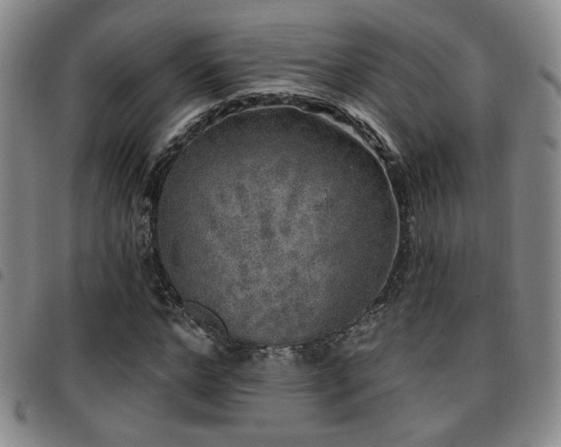 X0000097810968200803141115