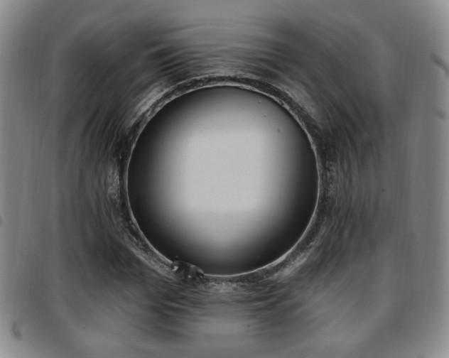 X0000097810969200803141115