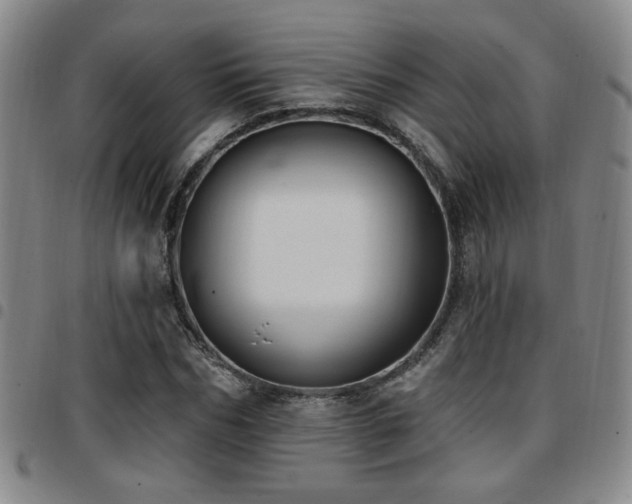X0000097810970200803141115