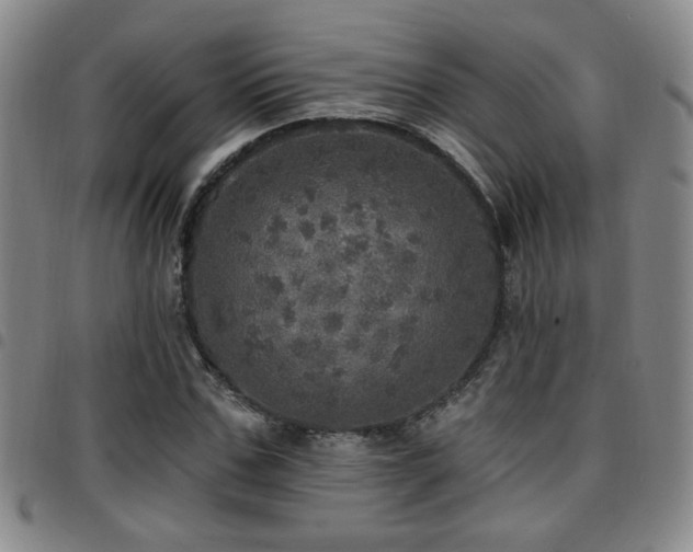 X0000097810971200803141115
