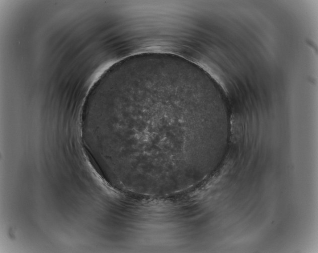 X0000097810972200803141115